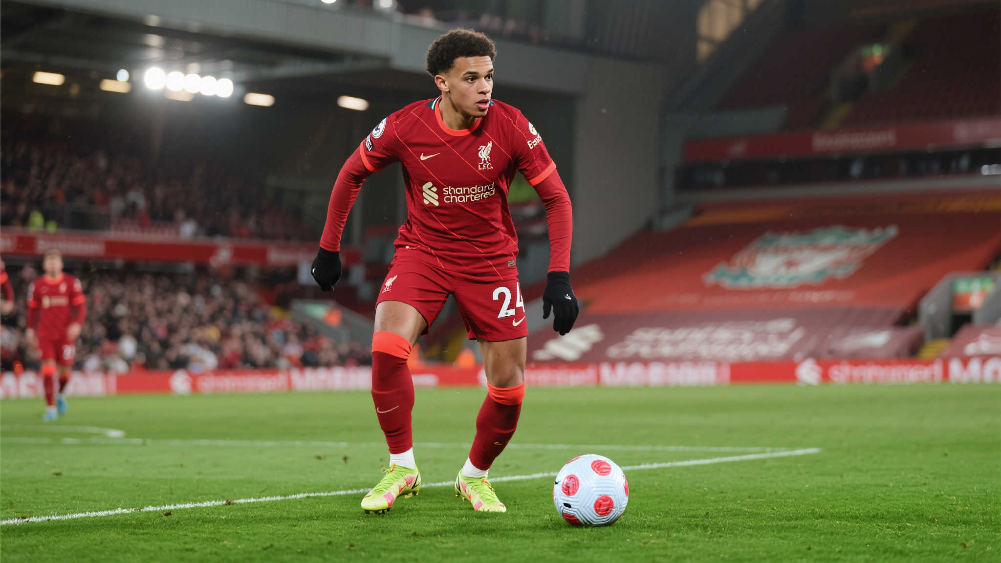 为什么选择我们